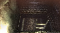꡼ No.006Υͥ / Wizardry Onlineס󥸥ֵϲϩפ1220˼åǡԤµܤͻҤࡼӡǥå