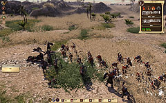 ������#007�Υ���ͥ���/�����ޤ�Ȣ���֥���ڥꥢ�� ������ ���ܸ��ǡפΥ����꡼�󥷥�åȽ�