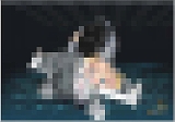 ꡼ No.008Υͥ / G2 -Guns  Gunner-ץХ󥿥ˤʤǥߥ2Ƴ