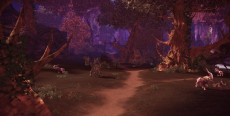 画像ギャラリー No.005のサムネイル画像 / 「TERA」,8月18日実装の最新アップデート情報が公開。バルデラ特別地区の開放など