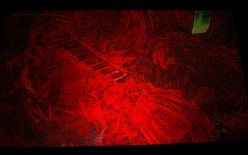 ꡼ No.017Υͥ / COMPUTEX2010ǯNVIDIAϡ֥åȡDX113DΩλ롣NVIDIAץ쥹ե󥹾