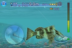 ꡼ No.007Υͥ / iPhoneγڤʤ褦3Dեå󥰥Fishing KingsפҲ