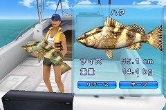 ꡼ No.008Υͥ / iPhoneγڤʤ褦3Dեå󥰥Fishing KingsפҲ