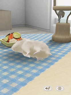 ���������꡼ No.003�Υ���ͥ������ / �İ����ϥॹ�����ȿ���礪������������������HamTouch!�פ�iPhone/iPod touch�Ǥ����iPad�Ǥ��꡼��