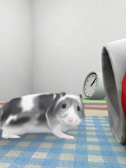 ���������꡼ No.007�Υ���ͥ������ / �İ����ϥॹ�����ȿ���礪������������������HamTouch!�פ�iPhone/iPod touch�Ǥ����iPad�Ǥ��꡼��