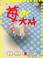 ���������꡼ No.010�Υ���ͥ������ / �İ����ϥॹ�����ȿ���礪������������������HamTouch!�פ�iPhone/iPod touch�Ǥ����iPad�Ǥ��꡼��