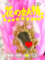 ���������꡼ No.011�Υ���ͥ������ / �İ����ϥॹ�����ȿ���礪������������������HamTouch!�פ�iPhone/iPod touch�Ǥ����iPad�Ǥ��꡼��