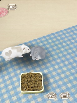 ���������꡼ No.013�Υ���ͥ������ / �İ����ϥॹ�����ȿ���礪������������������HamTouch!�פ�iPhone/iPod touch�Ǥ����iPad�Ǥ��꡼��