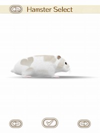 ���������꡼ No.015�Υ���ͥ������ / �İ����ϥॹ�����ȿ���礪������������������HamTouch!�פ�iPhone/iPod touch�Ǥ����iPad�Ǥ��꡼��