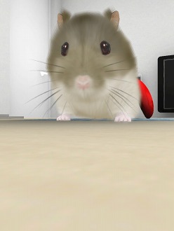 ���������꡼ No.018�Υ���ͥ������ / �İ����ϥॹ�����ȿ���礪������������������HamTouch!�פ�iPhone/iPod touch�Ǥ����iPad�Ǥ��꡼��