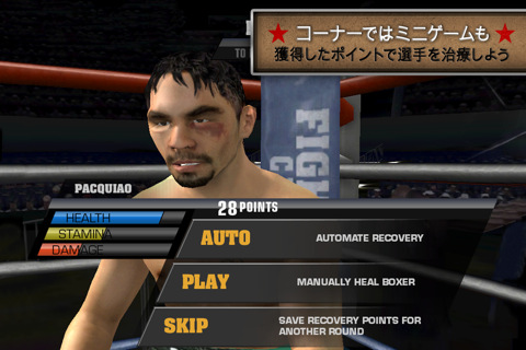 ꡼ No.005Υͥ / ԤܻؤiPhoneѥܥ󥰥Fight Night Championȯ