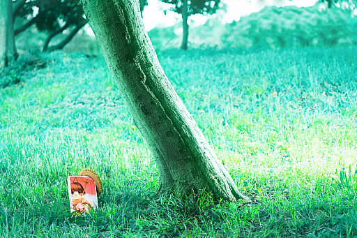 ꡼ No.001Υͥ / CLANNAD򰦤ͤϡYahoo!ǼĤˤ