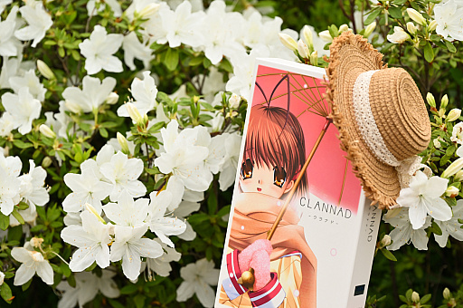 ꡼ No.006Υͥ / CLANNAD򰦤ͤϡYahoo!ǼĤˤ