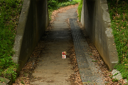 ꡼ No.020Υͥ / CLANNAD򰦤ͤϡYahoo!ǼĤˤ