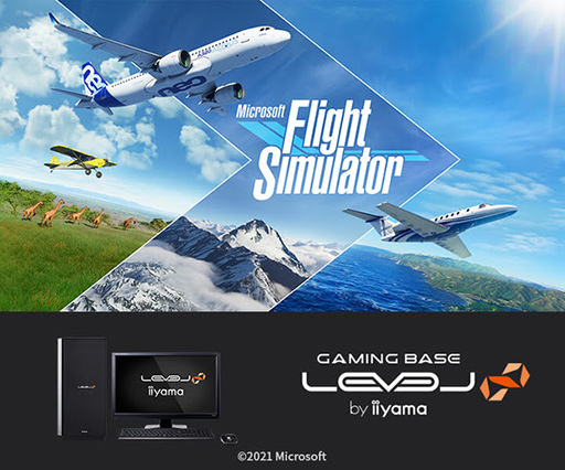 ꡼ No.001Υͥ / LEVEL硤Microsoft Flight Simulator׿侩ΥϥɥPCȯ