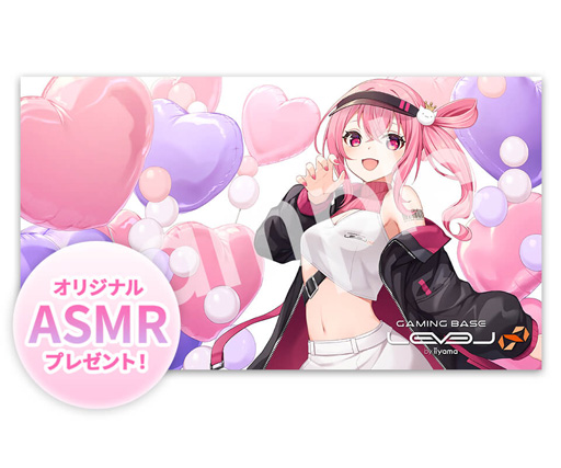 ꡼ No.003Υͥ / LEVEL硤VTuberֿëͤץܥǥΥPCȯ