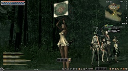 ꡼ No.021Υͥ / ࡦҥƻ̥Ϥȡδ٤ι⤵æ˹ڹǡBladeSoul2CBTκǿ꡼󥷥åȤǺ