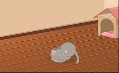 ꡼ No.005Υͥ / Nicotto TownסBIGLOBEΡ֥֥֥פ˥Х