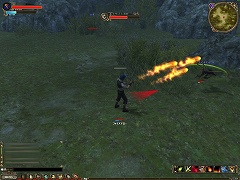 ꡼ No.016Υͥ / ȥ󥾥åܥإåɥåɤ꤬뿷MMORPG֥륫ǥפCBTץ쥤ݡȤ4Gamer˷Ǻ
