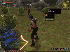 ꡼ No.021Υͥ / ȥ󥾥åܥإåɥåɤ꤬뿷MMORPG֥륫ǥפCBTץ쥤ݡȤ4Gamer˷Ǻ