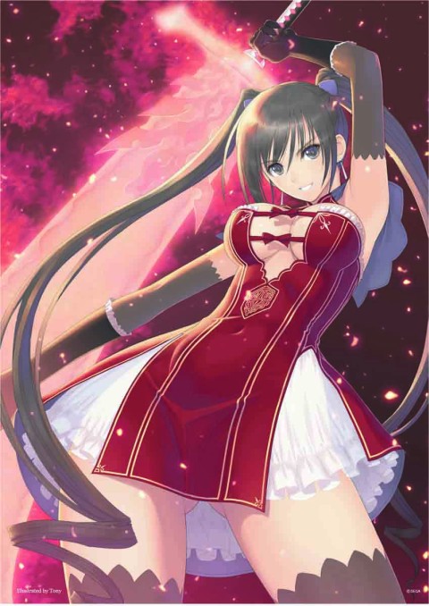 ꡼ No.023Υͥ / ֽ鲻ߥ -Project DIVA-ץåʤɤΥϢʤߥ81ؽŸ