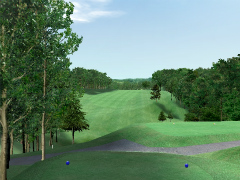 ꡼ No.008Υͥ / ץեǧܳɥեߥ졼ǥ르աKONAMI£GOLF CONNECTIONȯɽǲݡ