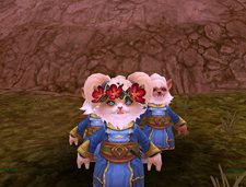 ꡼ No.005Υͥ / MMORPGALLODS ONLINEפΥƥ˥ƥȤ730顣ƥ罸ȡ4GamerɼȤ2000̾