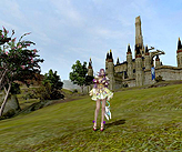 ꡼ No.010Υͥ / MMORPGKAROS OnlineסޥåʤƮ˥եǿ꡼󥷥å40ɤɤȸ