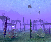꡼ No.012Υͥ / MMORPGKAROS OnlineסޥåʤƮ˥եǿ꡼󥷥å40ɤɤȸ