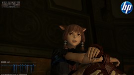 ꡼ No.009Υͥ / ¥ƥIDդFFXIV Readyǥо졪HPޡPCβƥǥȯɽ