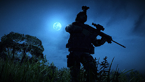꡼ No.022Υͥ / ɥޥ114ȯΡOPERATION FLASHPOINT: DRAGON RISINGפо줹/ʼɲþ