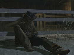 ꡼ No.007Υͥ / ͷ٤ʬ밵Ūʥ봶ȥꥢƥ嵡ѥΰĤδϤȤ⤤Red Dead Redemptionפ̥ϤࡼӡդǾҲ
