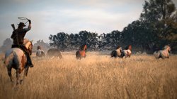 ꡼ No.006Υͥ / Red Dead RedemptionפȤʤ롤ʥꥫϰ򥹥꡼󥷥åȤ̤Ƴǧ褦