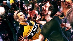 ꡼ No.004Υͥ / DEAD RISING 2ץե󡦥ƥ̤NORTH STRIPפ֥פξ󤬸