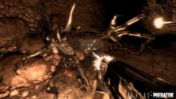 ꡼ No.003Υͥ / GamescomϴԤFPSAliens vs. Predatorפξܺ٤Gamescom餫