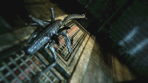 ꡼ No.003Υͥ / ޥ꡼֤ץǥѿȡAliens vs. PredatorפΥޥץ쥤⡼ɤˤĤƿҲ