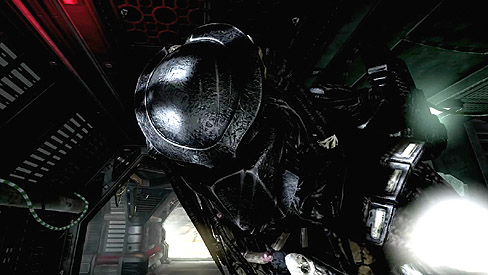 ꡼ No.004Υͥ / ޥ꡼֤ץǥѿȡAliens vs. PredatorפΥޥץ쥤⡼ɤˤĤƿҲ