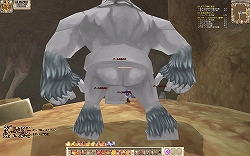 ꡼ No.005Υͥ / PR۹٥ˤʤȤڤ!?Grand Fantasia׾Ը󥸥ͻҤҲܺΥåץǡȷײäȤϤ