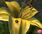 ꡼ No.007Υͥ / ATI Radeon HD 5800꡼ѤθǥMechaסLadybugפ