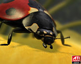 ꡼ No.009Υͥ / ATI Radeon HD 5800꡼ѤθǥMechaסLadybugפ