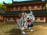 ꡼ No.006Υͥ / MMORPGMaster of Martialפӥ84ȡWebMoneyڡƱ곫