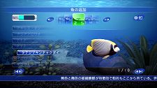 ꡼ No.008Υͥ / PlayStation Storeǿ󡣡ʬΡ֥֥롼֡פʤɿȥ뤬򲡤ˤܺΥơޤ