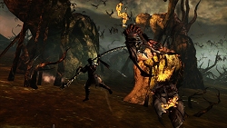 ꡼ No.007Υͥ / GamescomϷ㤷ܤΡDantes InfernoPS3ǤEA֡ǥץ쥤֥Ÿ