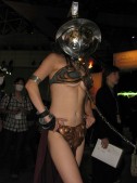 ꡼ No.240 | TGS 2009ϺǯϤäΥѥ˥̿278Ǻ