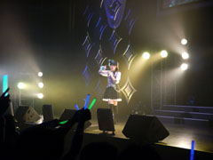 ꡼ No.010Υͥ / ֥ɥ꡼९֡׽Ȥʤñȥ饤֥֡ɥ꡼C饤2011ס13ͤΥۥȥ뤬٥ȥݡ