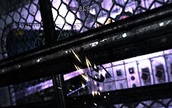 ꡼ No.016Υͥ / Υ륹̢䤷ԻԤæз֥פΥӥ塼Ǻ