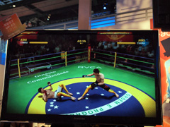 ꡼ No.005Υͥ / E3 2010ܥ롼󥰤ǽ ƮEA SPORTS MMAפξܺ٥ݡ