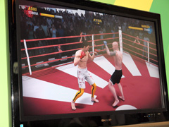 ꡼ No.011Υͥ / E3 2010ܥ롼󥰤ǽ ƮEA SPORTS MMAפξܺ٥ݡ