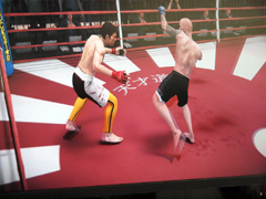 ꡼ No.012Υͥ / E3 2010ܥ롼󥰤ǽ ƮEA SPORTS MMAפξܺ٥ݡ