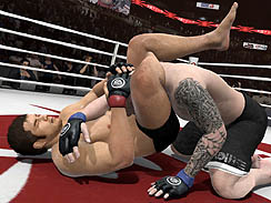꡼ No.009Υͥ / ܿ쥯ȥ˥åĽγƮΤȤʤ롤EA SPORTS ƮפΥץåȥࡼӡǺ